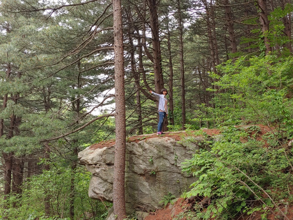 찐이네 이미지