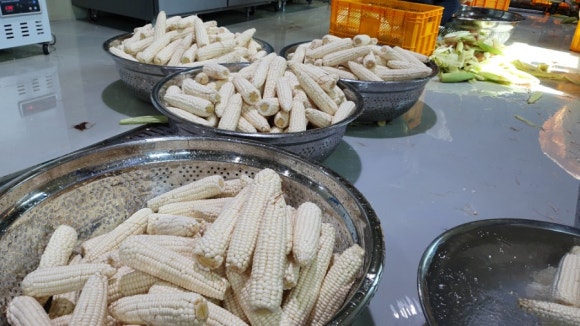 토생이 이미지