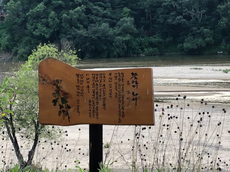 하이퍼횟집 이미지