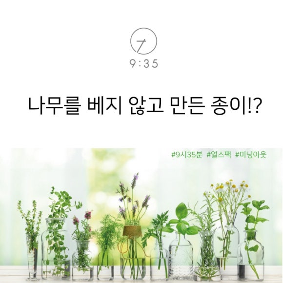 인셀덤서인 이미지