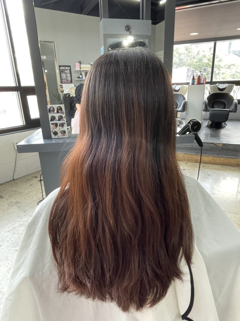 칸지헤어 이미지