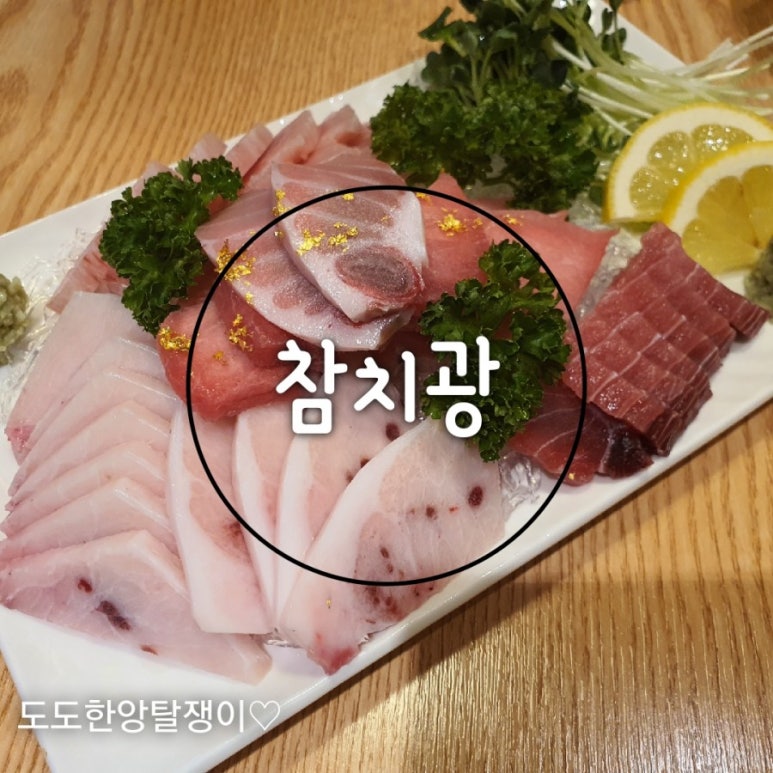 참치광 이미지