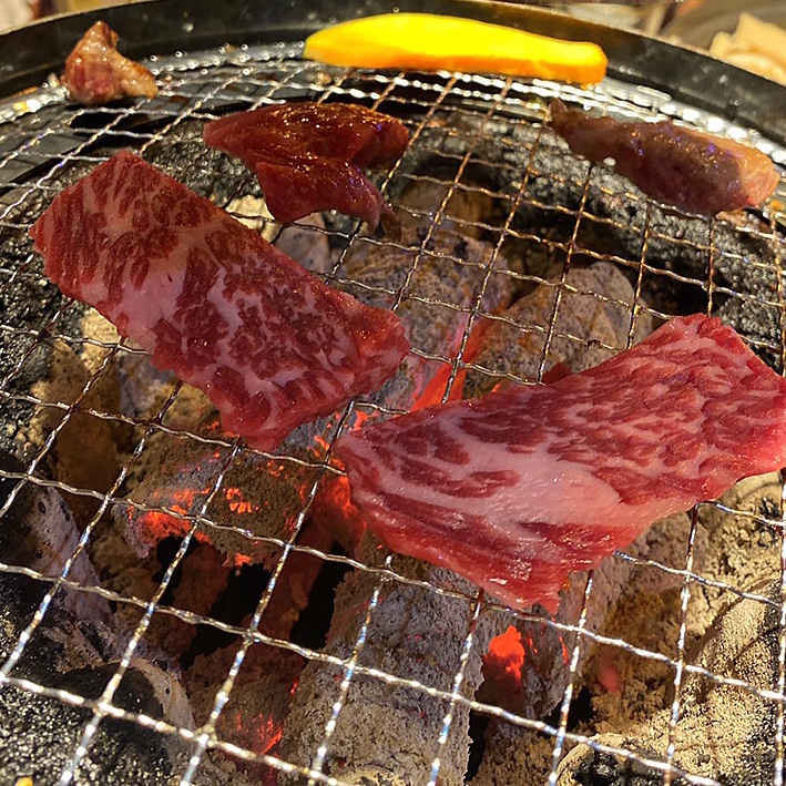 가영이꼬꼬 이미지