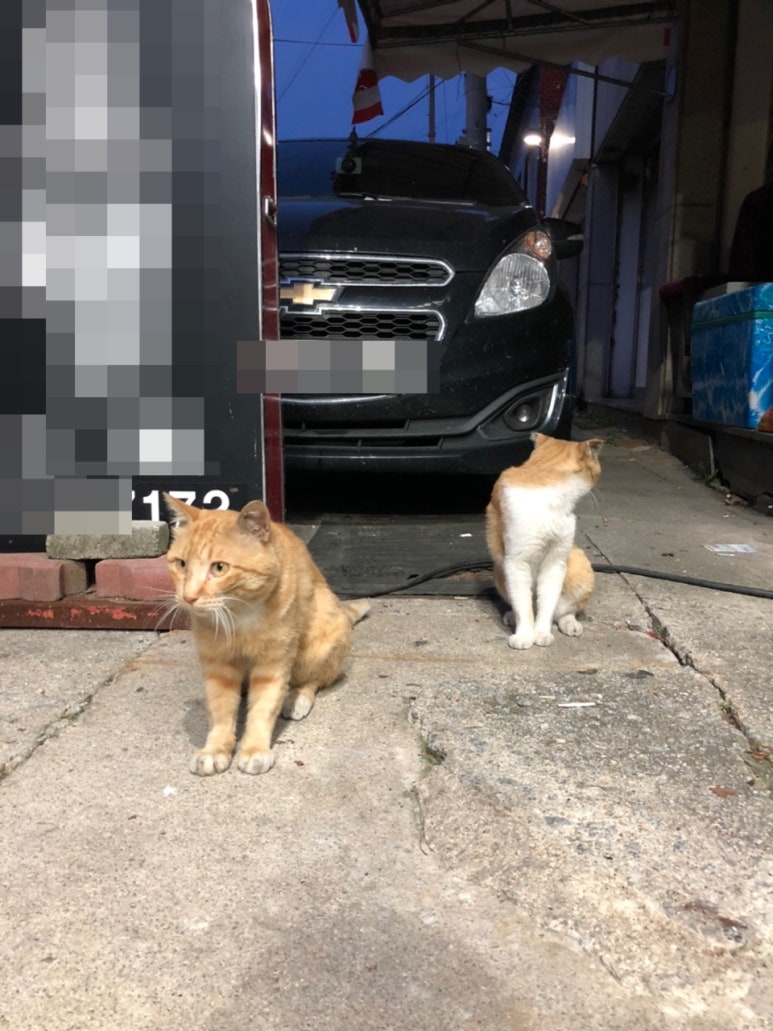 하이퍼횟집 이미지