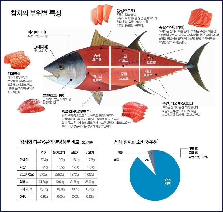 참치어장 이미지