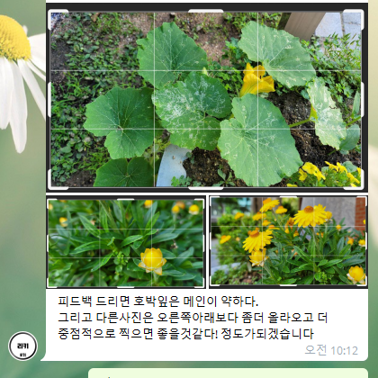 지오그래픽스 이미지
