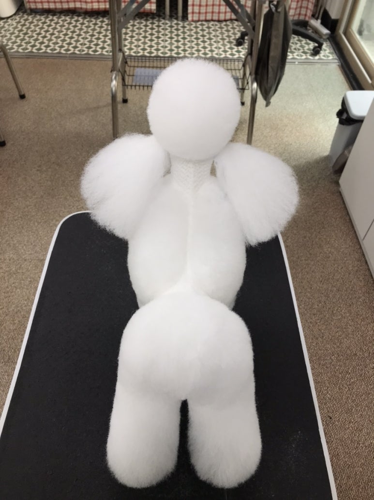 펫홀릭더라이프 이미지