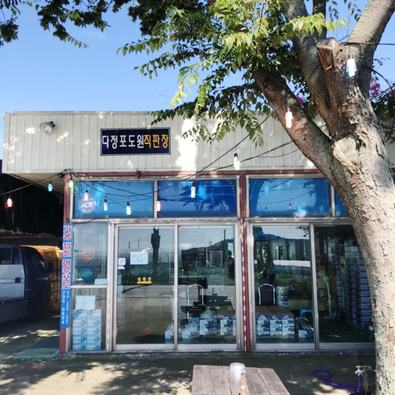다정포도원 이미지