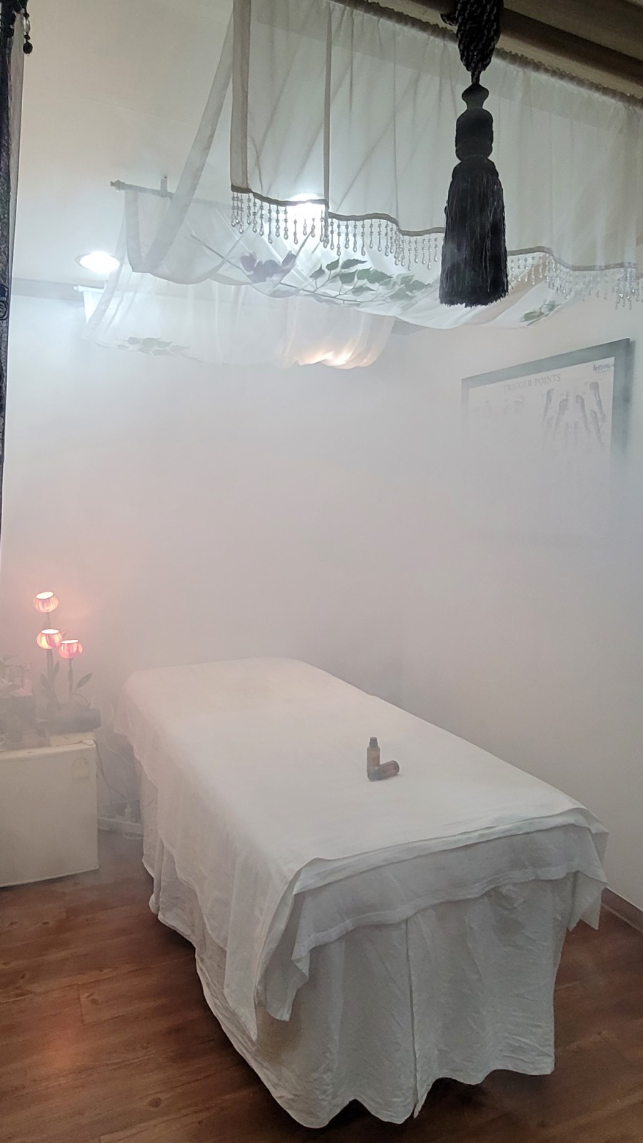 바디벨르 이미지