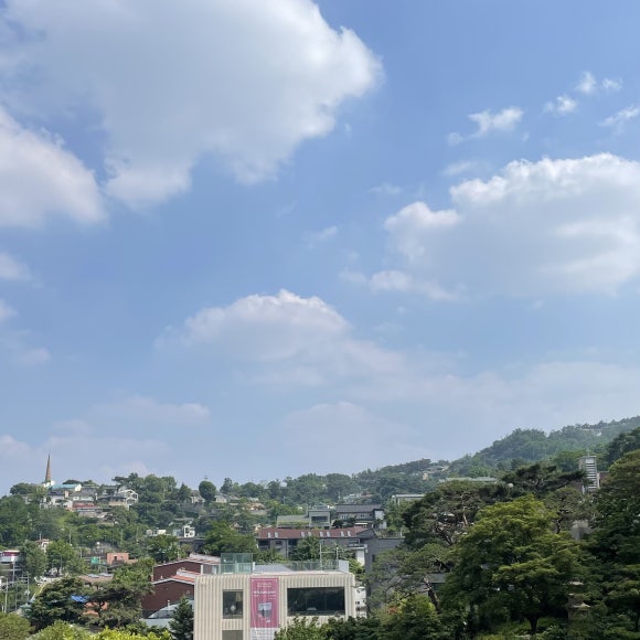 라플레르수 이미지