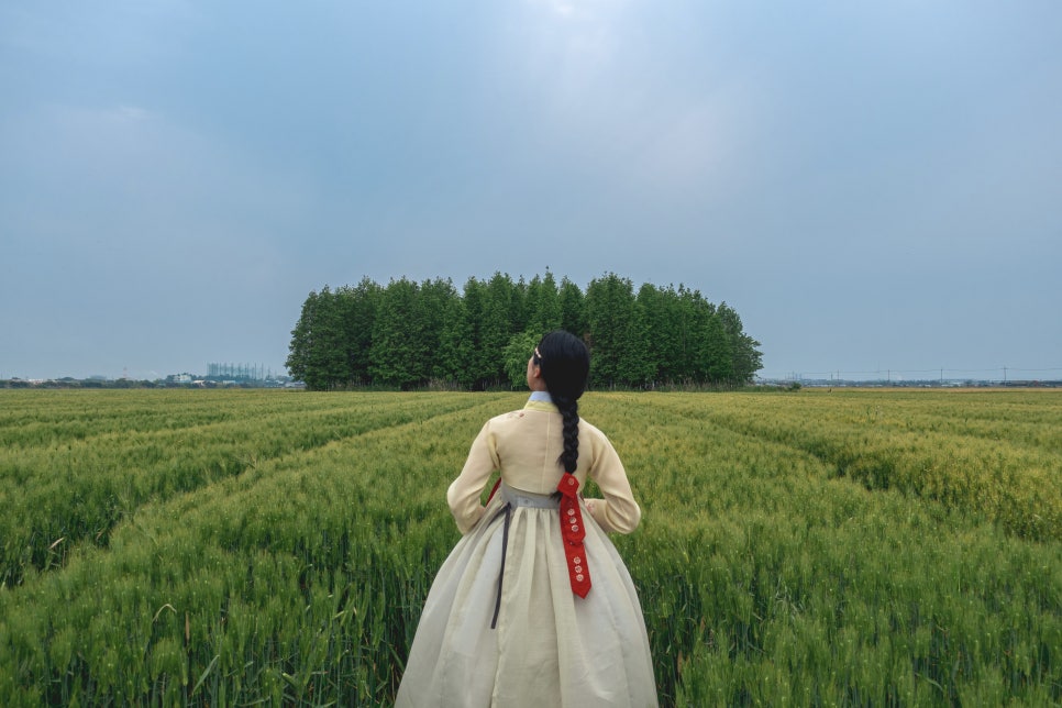 여행정보서비스 이미지