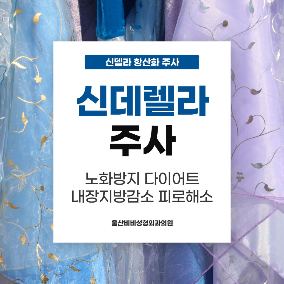 신데렐라성형외과의원 이미지