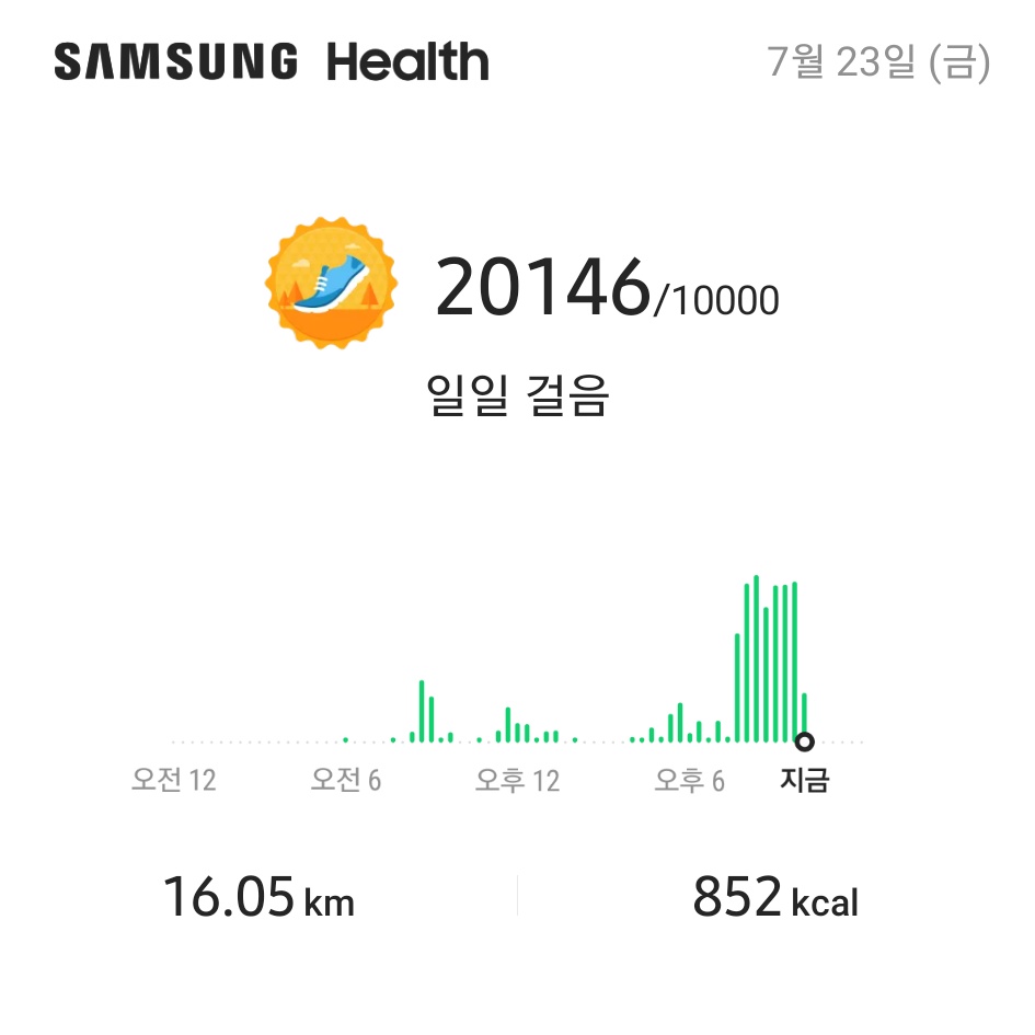 황금게임장 이미지