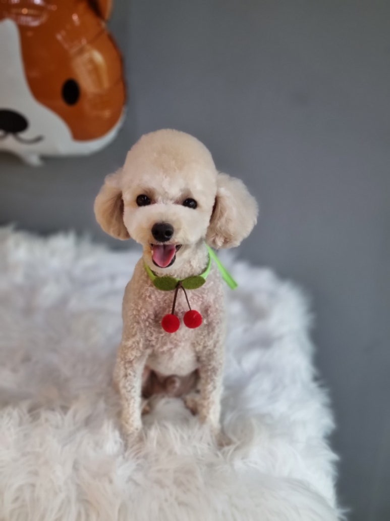 살롱3039 이미지