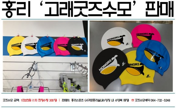 홍리스포츠 이미지