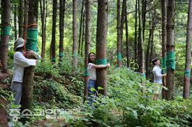 이수산림 이미지