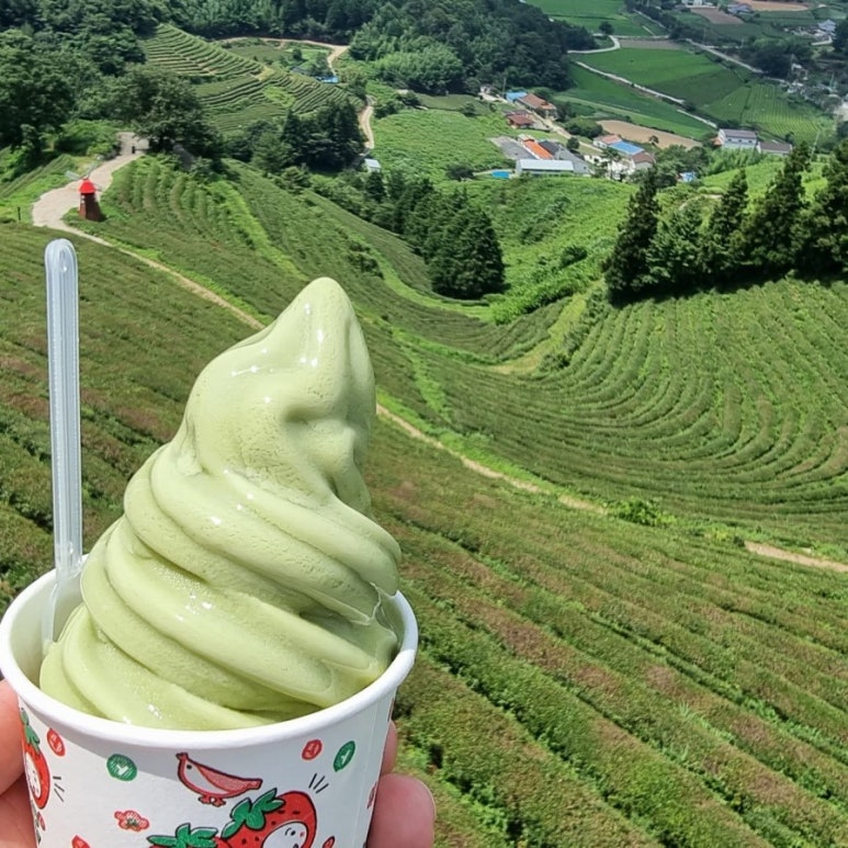 카페초록잎 이미지
