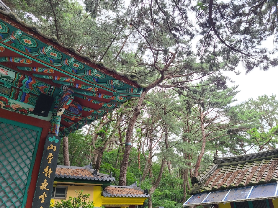 동래차밭골 이미지