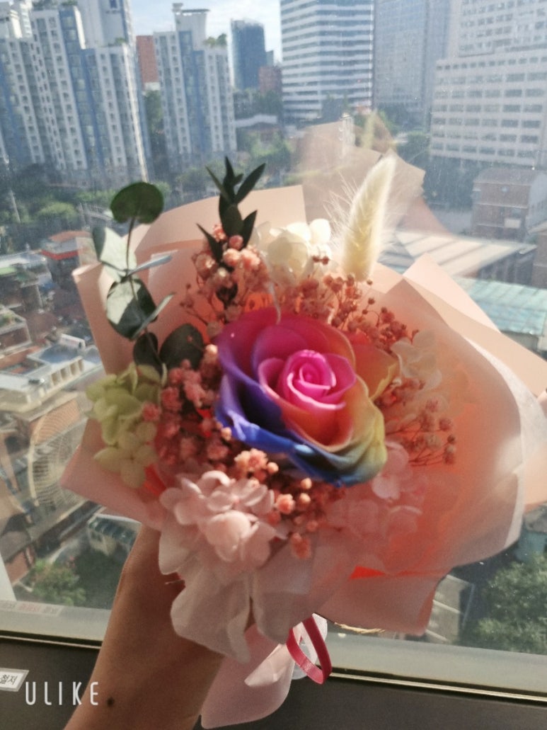 컨브리오 이미지
