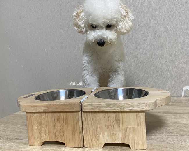 피오에이치 이미지