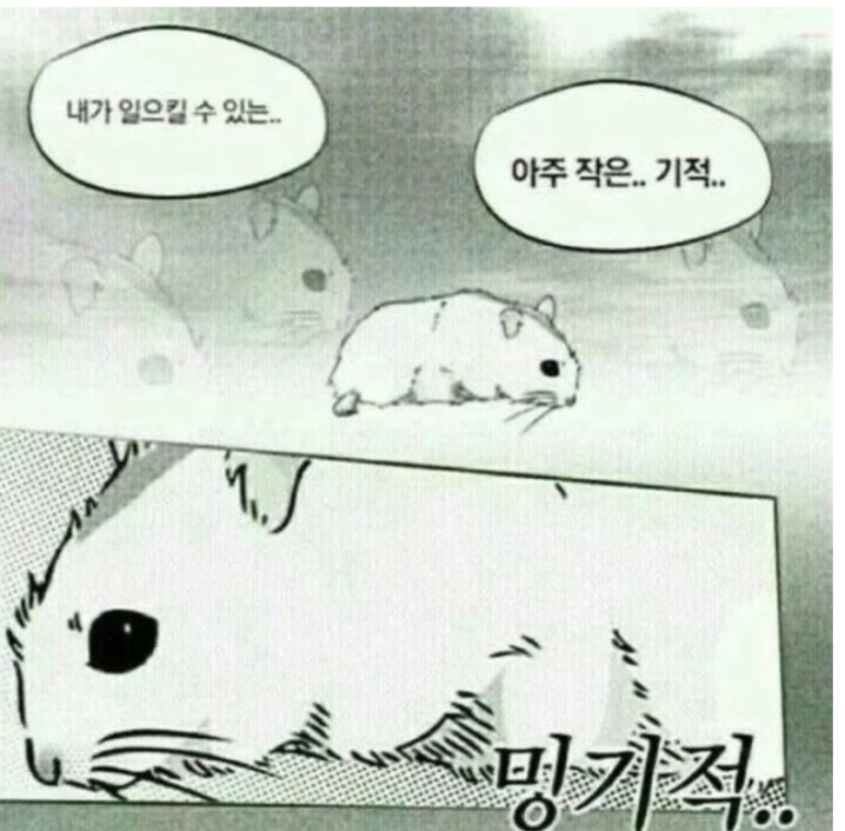 안박사면옥 이미지