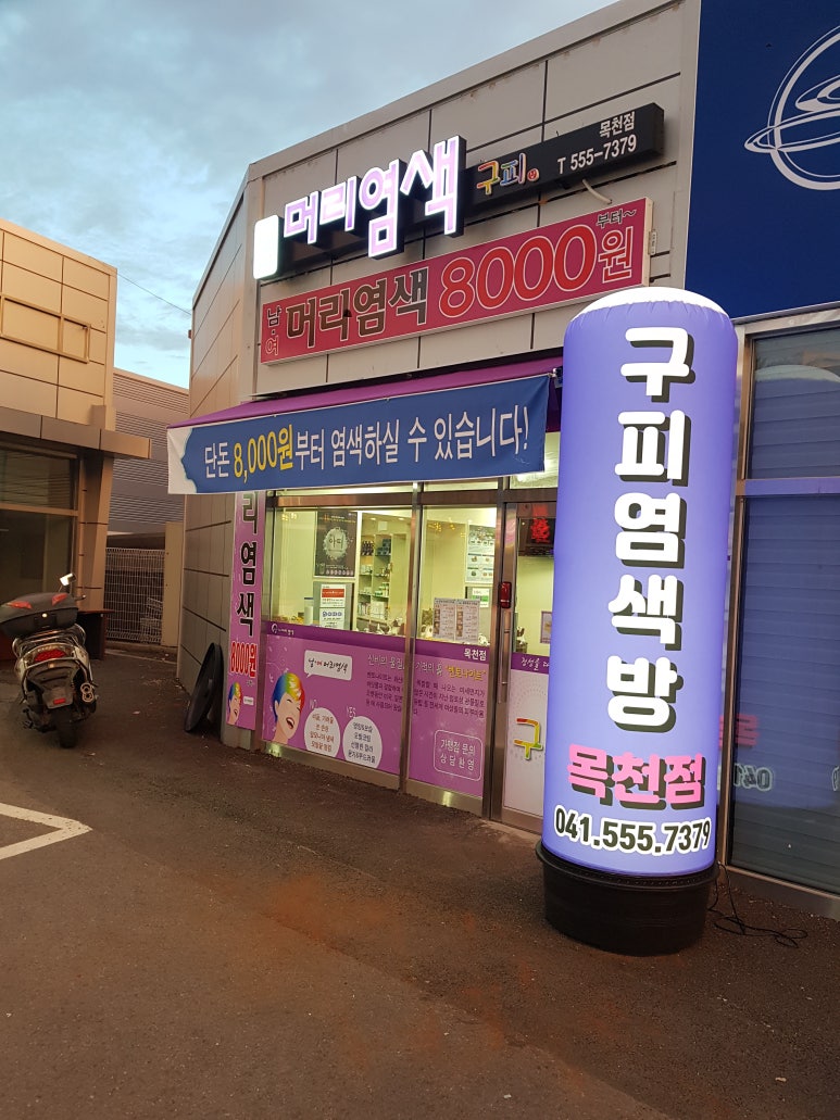 구피염색방 이미지