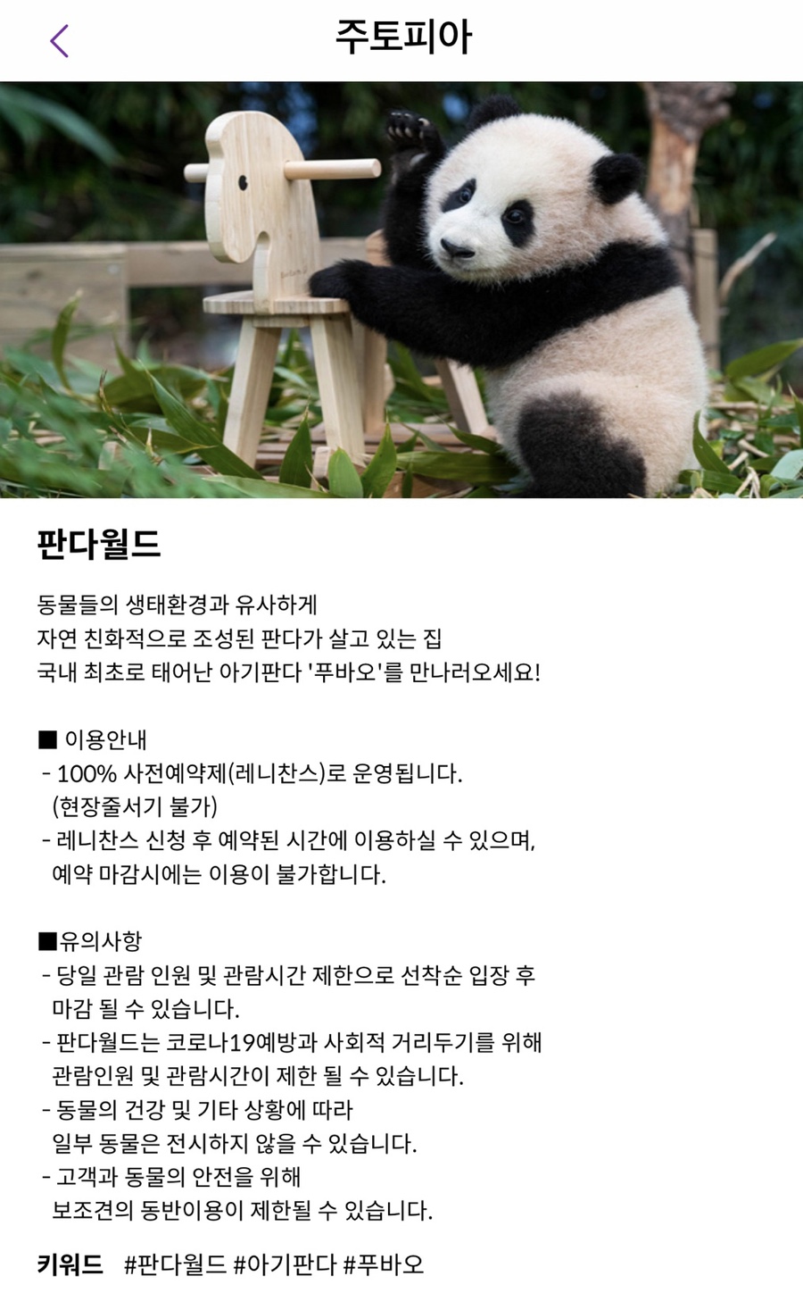 월드샵 이미지