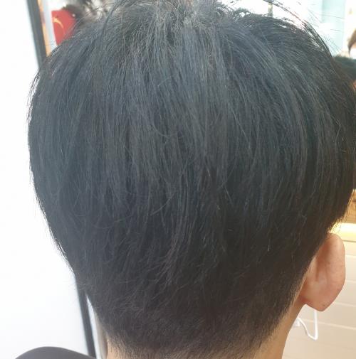 슈헤어 이미지