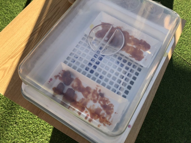 예스닭강정중앙시장점 이미지