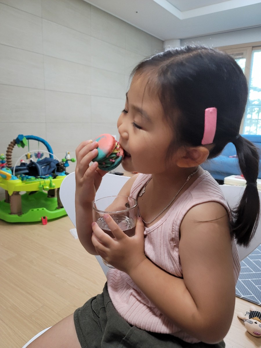 다린마카롱 이미지