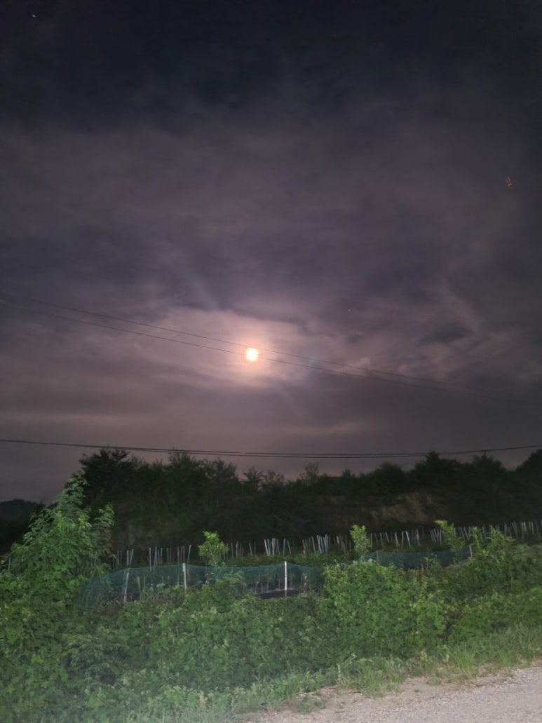 이마트24 아산엘크루점 이미지