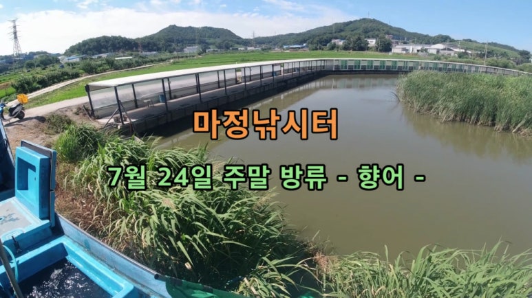 오늘은향어 이미지