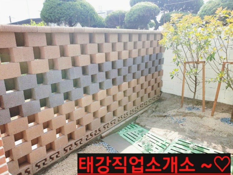 세종직업소개소 이미지