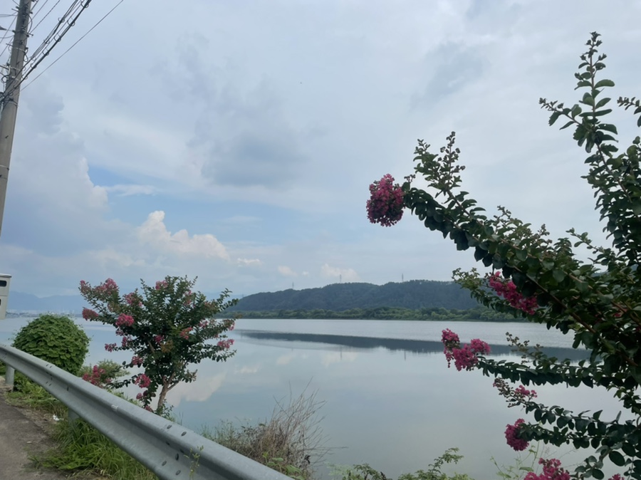 GS25칠곡보점 이미지