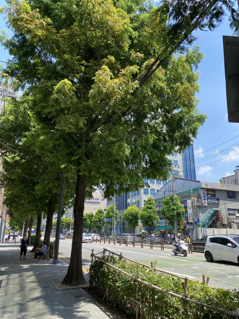 수정낙지골 이미지