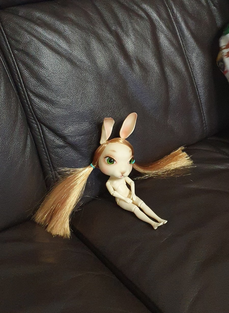 베베스텔라 이미지