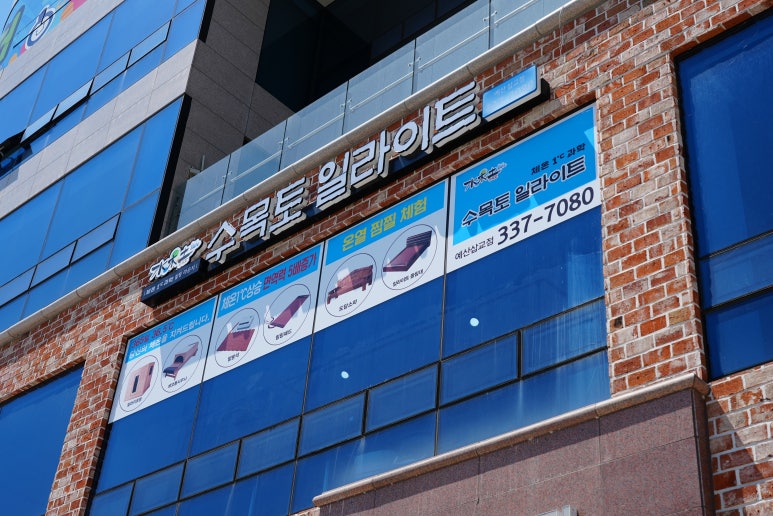 수목토일라이트 이미지