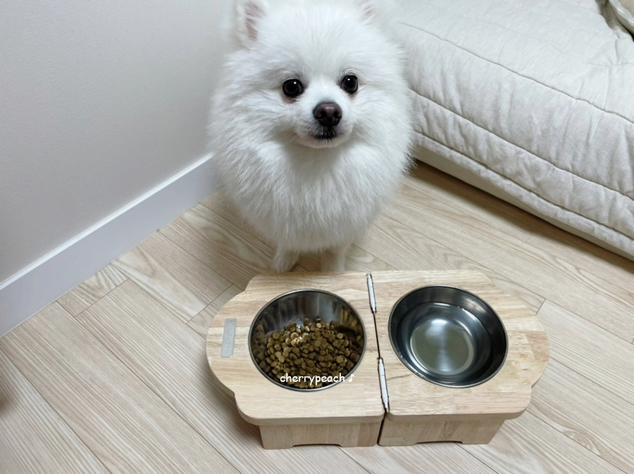 피오에이치 이미지
