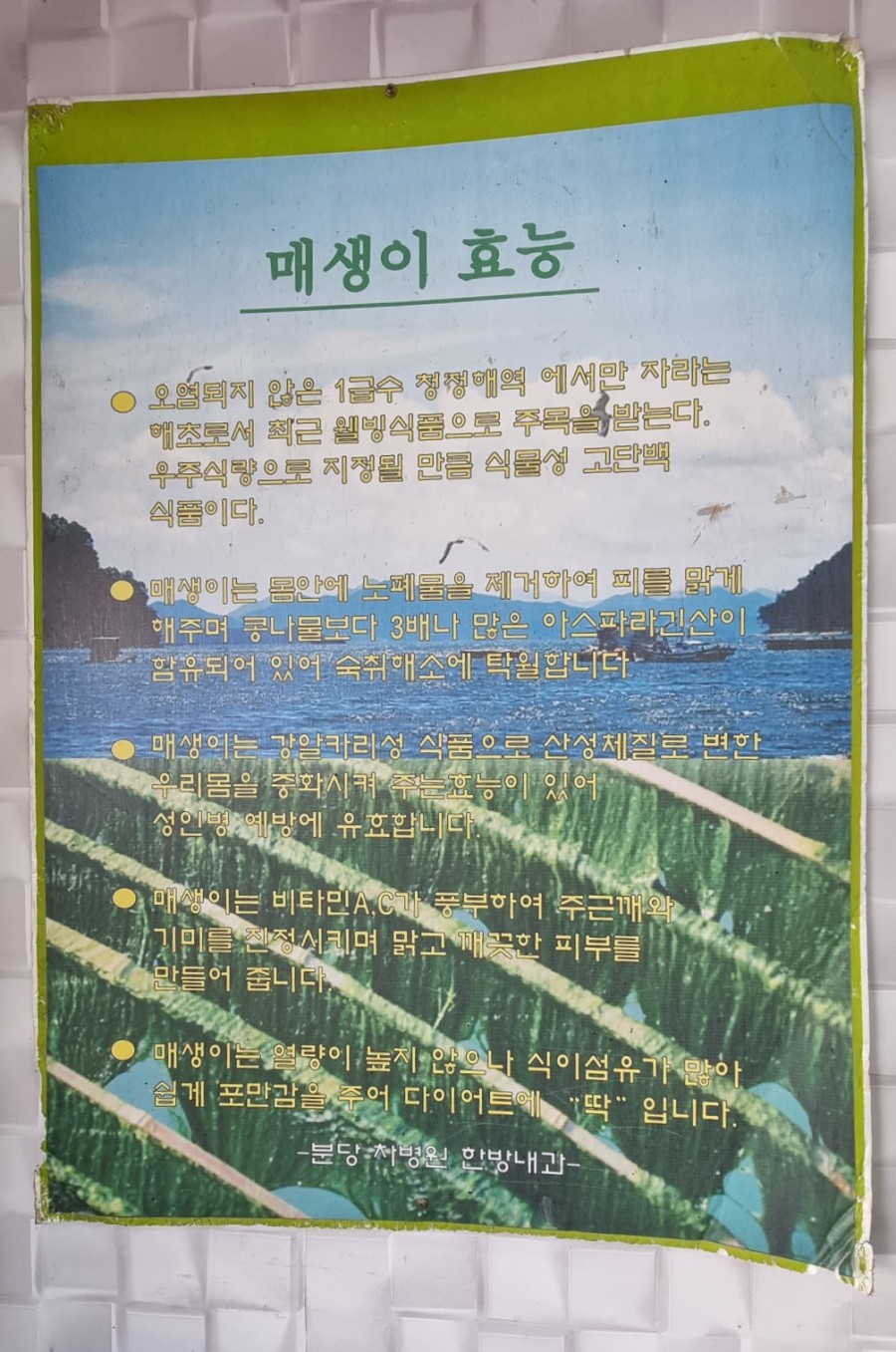 감래등 이미지