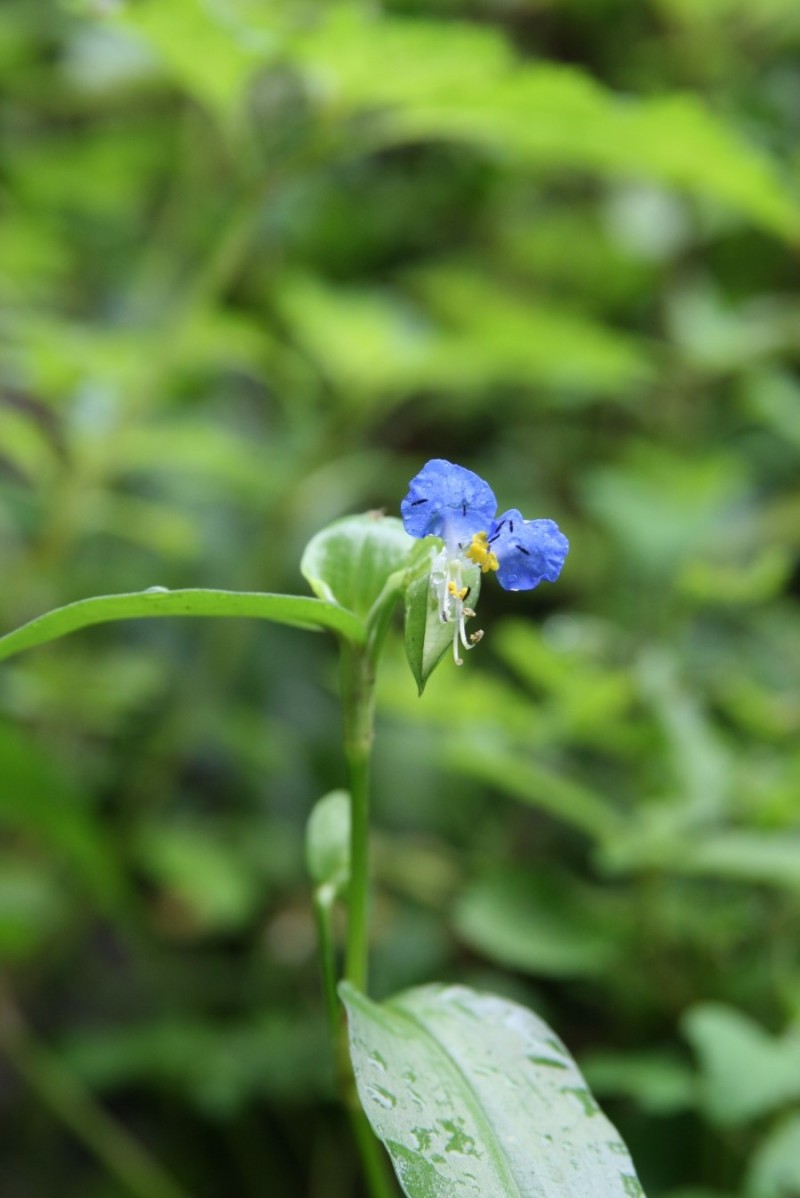 ON 숲 이미지