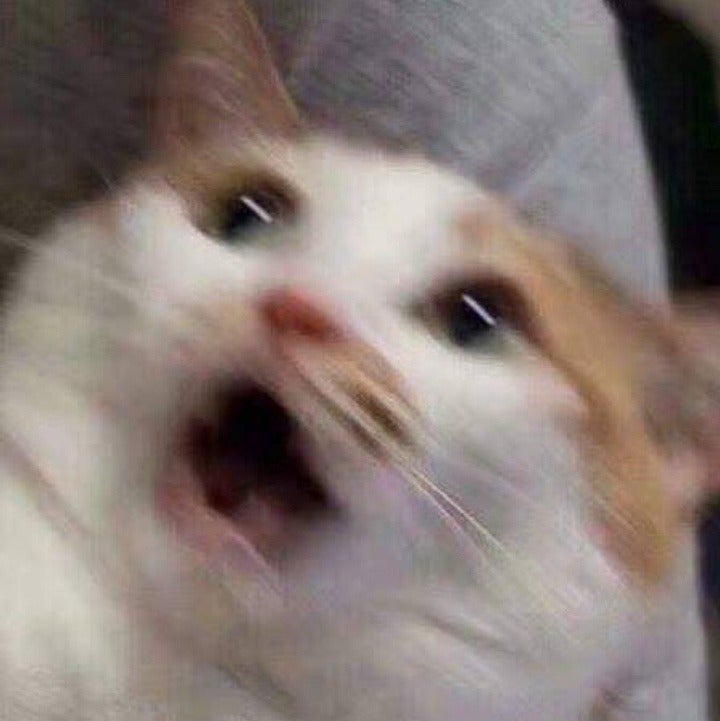 찍 이미지