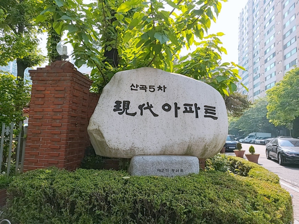 천사속눈썹 이미지