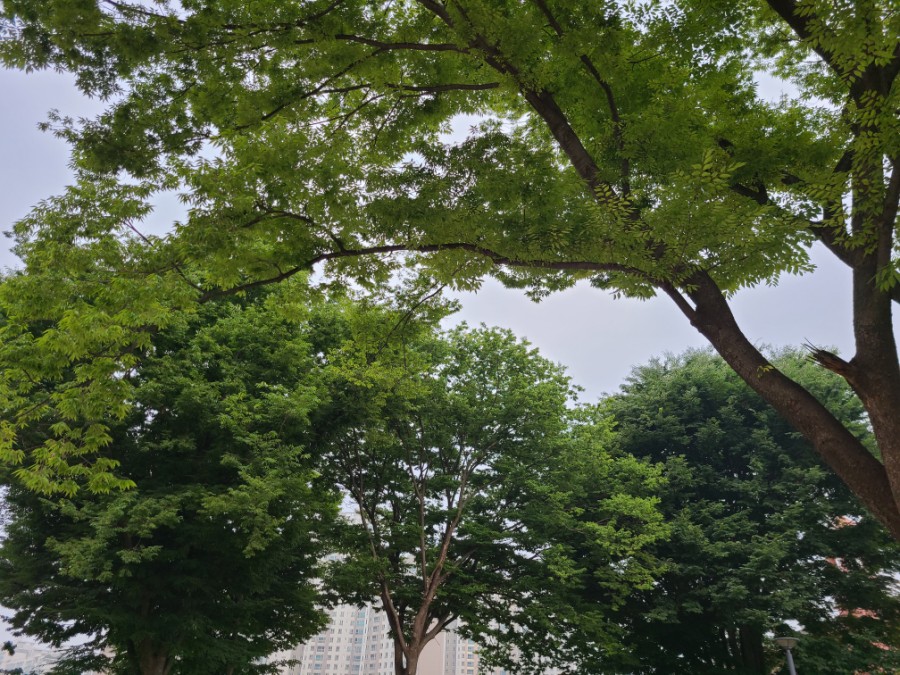 동방재활근로복지관 (이스턴 베이커리) 이미지