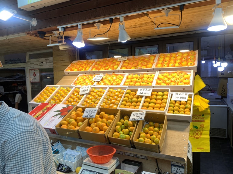 마실디 이미지