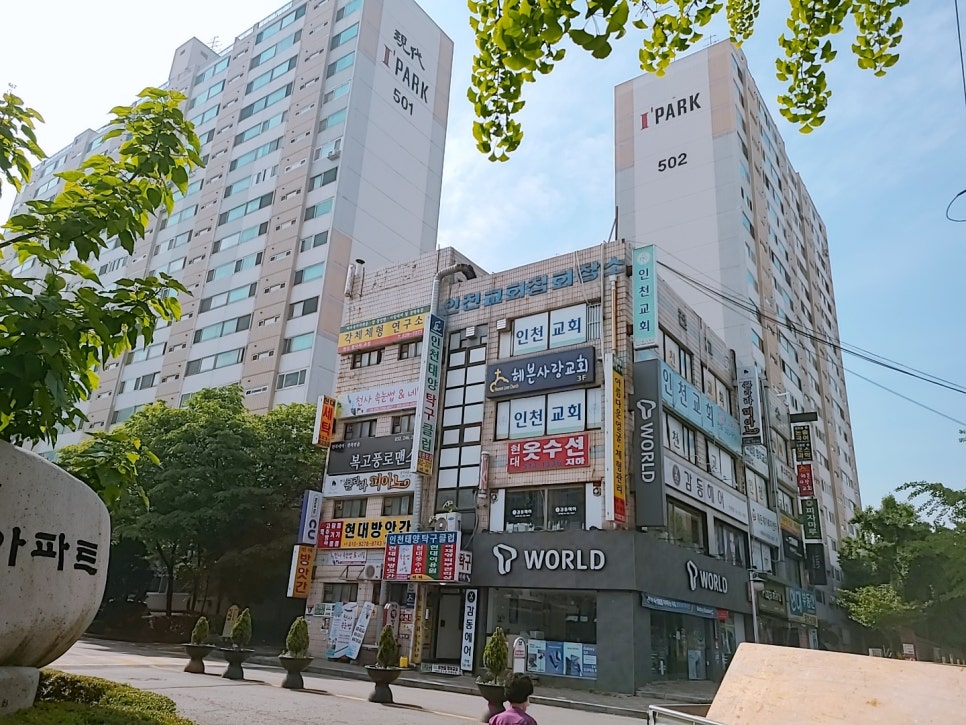 천사속눈썹 이미지