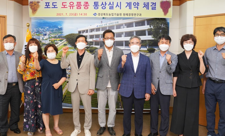알프스통상 이미지
