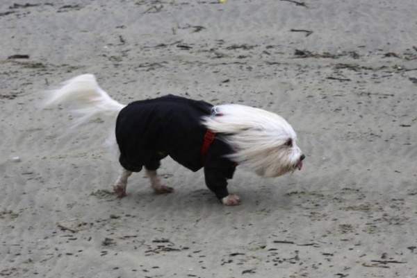 로타리곱창 이미지