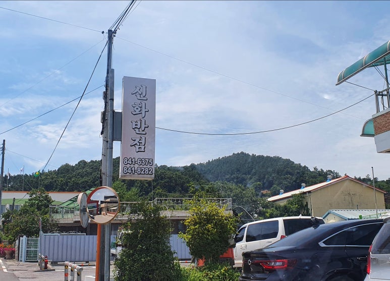 신화반점 이미지
