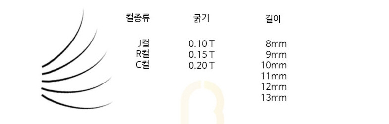 래쉬엔젤 이미지
