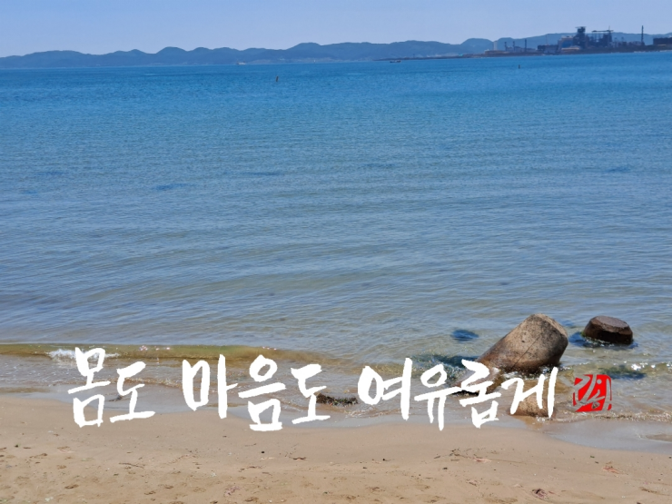 캘리 이미지